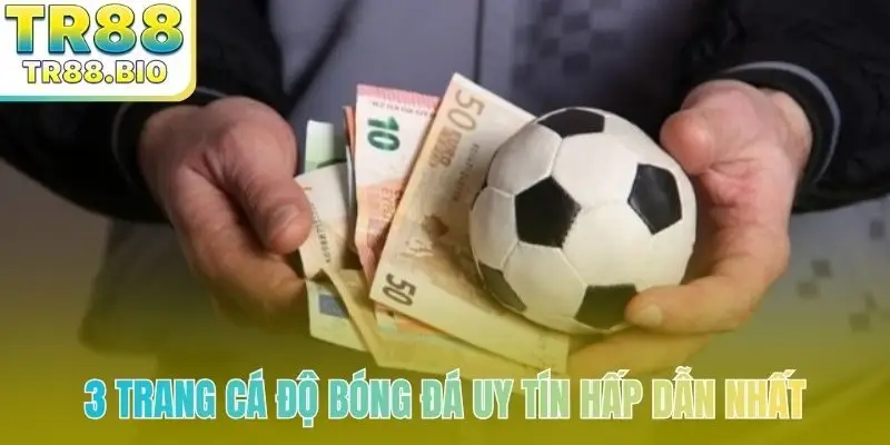 3 trang cá độ bóng đá uy tín hấp dẫn nhất