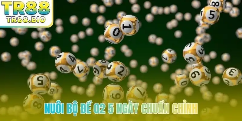 Nuôi bộ đề 02 5 ngày chuẩn chỉnh